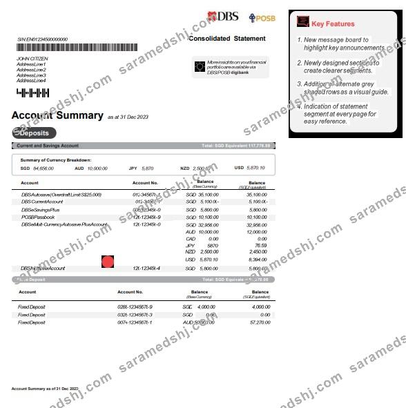 Singapore DBS bank statement Word and PDF template, version 2